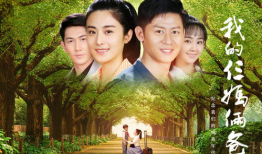 我的三爸两妈 电视剧,家庭纷争与爱的纠葛